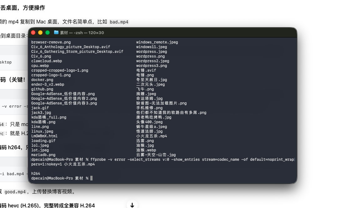 博客视频卡顿_查看编码.png