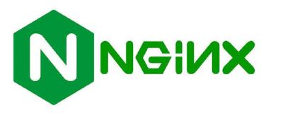 Nginx1.18.0 default config